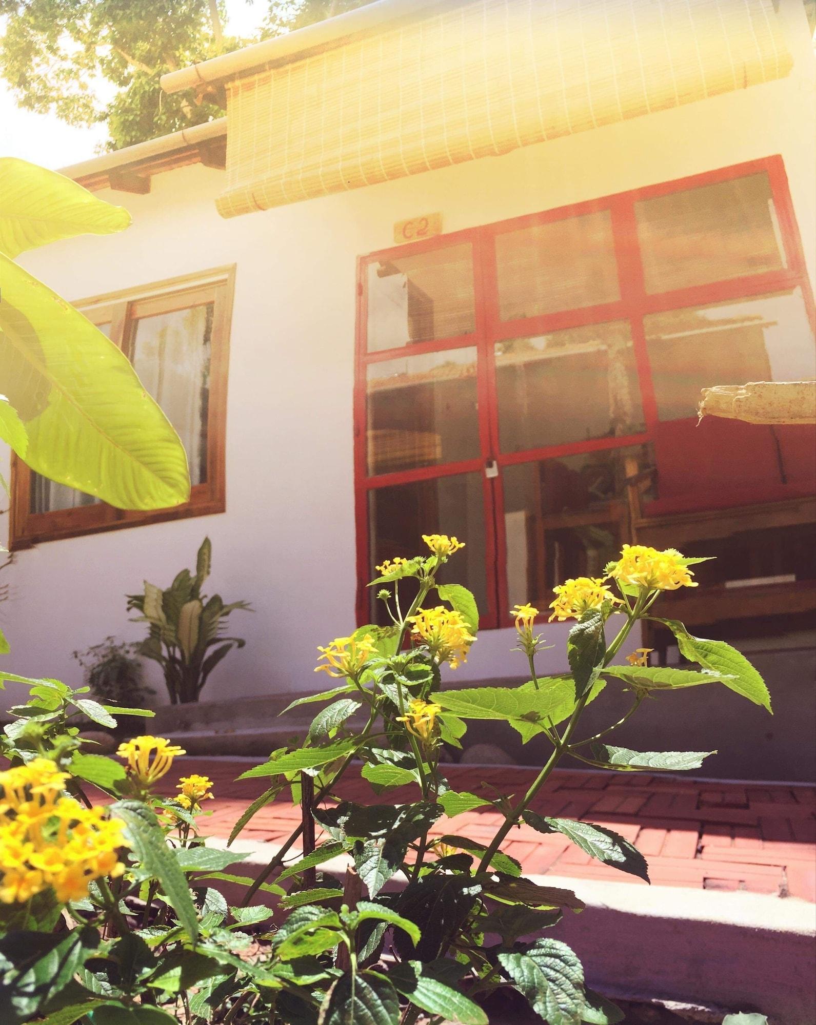 Langchia Hostel Phu Quoc Extérieur photo
